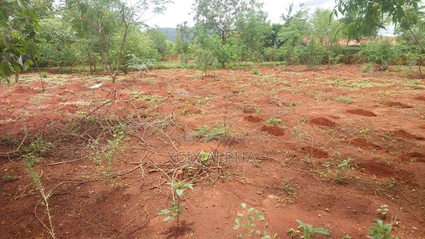 50x100 Land on Sale in Voi, Taita Taveta With Ready Title Deed