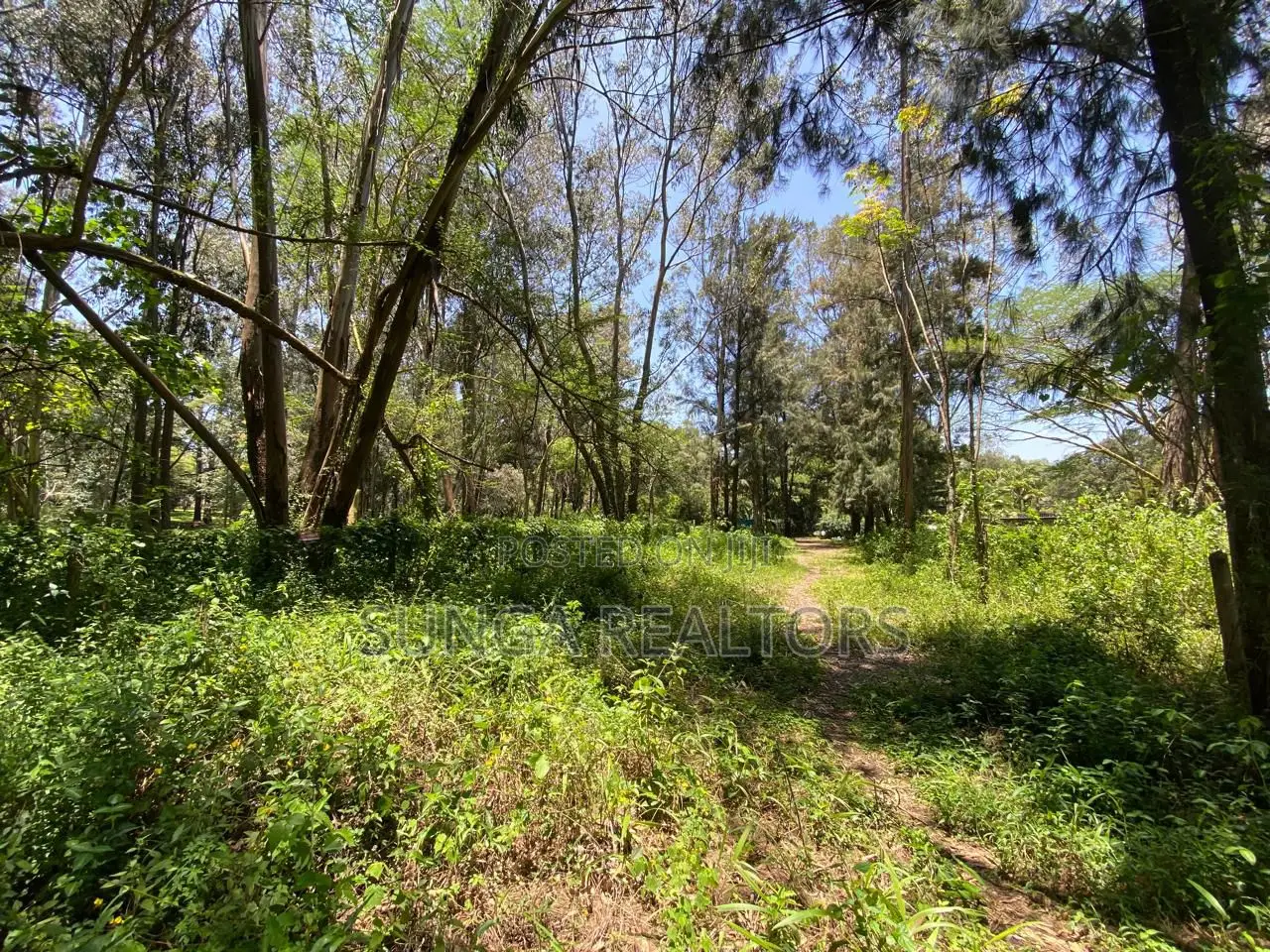 Plot for Sale in Lakeview Estate