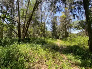 Plot for Sale in Lakeview Estate