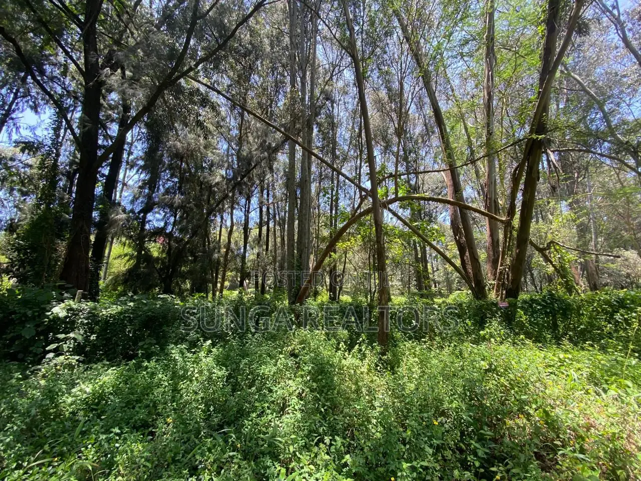 Plot for Sale in Lakeview Estate