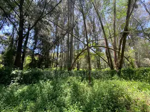Plot for Sale in Lakeview Estate