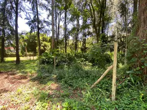 Plot for Sale in Lakeview Estate