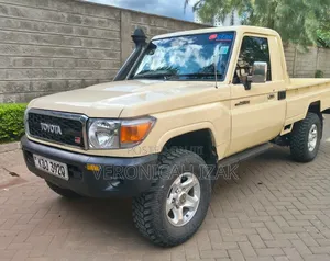 Toyota Land Cruiser 2008 Gold