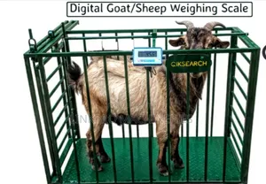 Animal Digital Weighing Machine