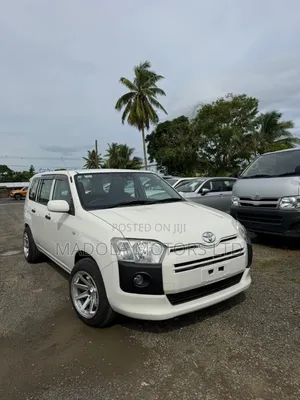 Toyota Probox 1.5 DX 2WD 2019 White