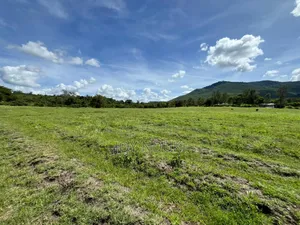 50 by 100 Plots for Sale in Kilimambogo