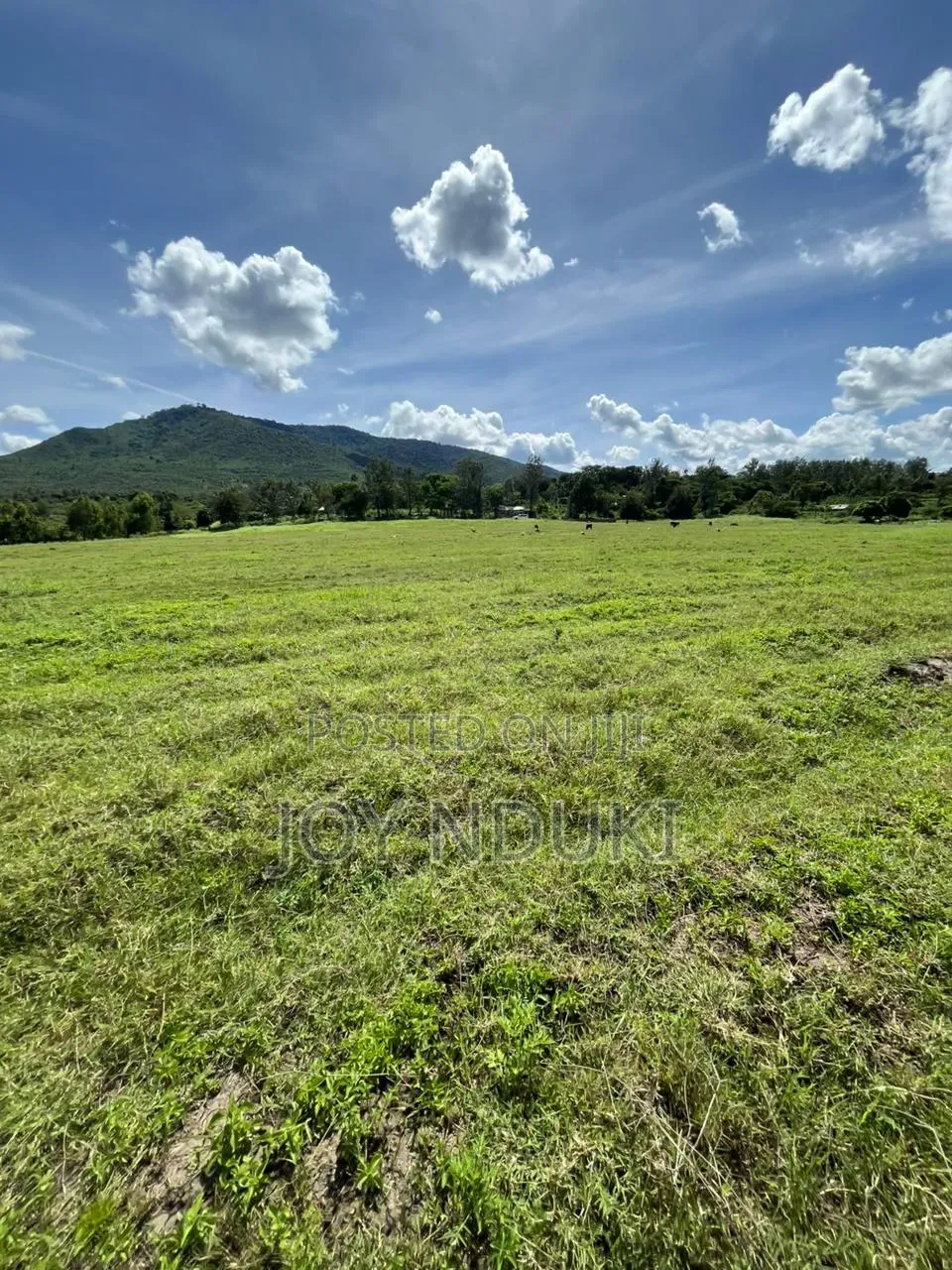 50 by 100 Plots for Sale in Kilimambogo