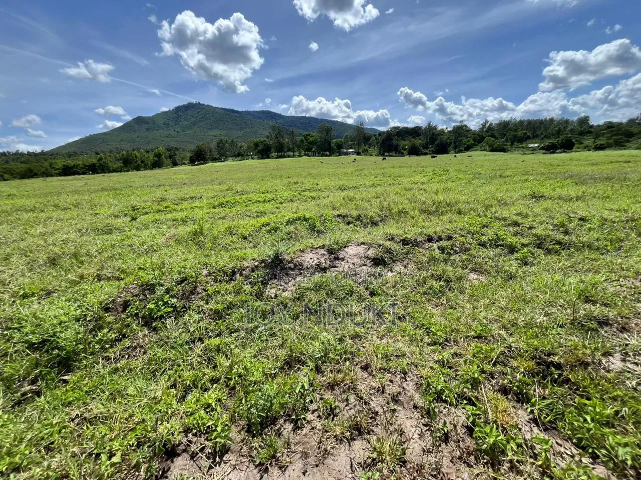 50 by 100 Plots for Sale in Kilimambogo