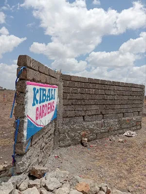 Cheap Plots For Sale In Ruiru Kamakis Near Eastern Bypass