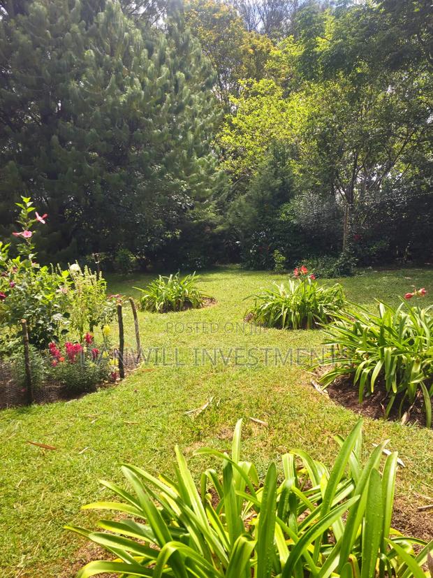4bdrm Bungalow in Elgonview Near for sale - thumbnail 7