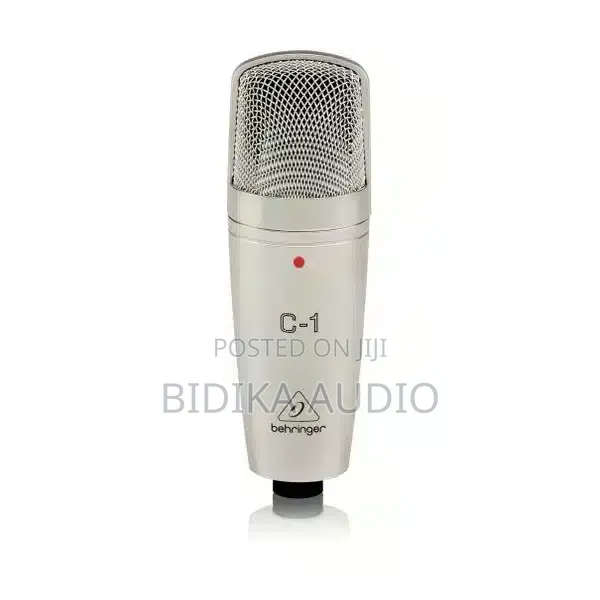 Brand New C1 Studio Microphone