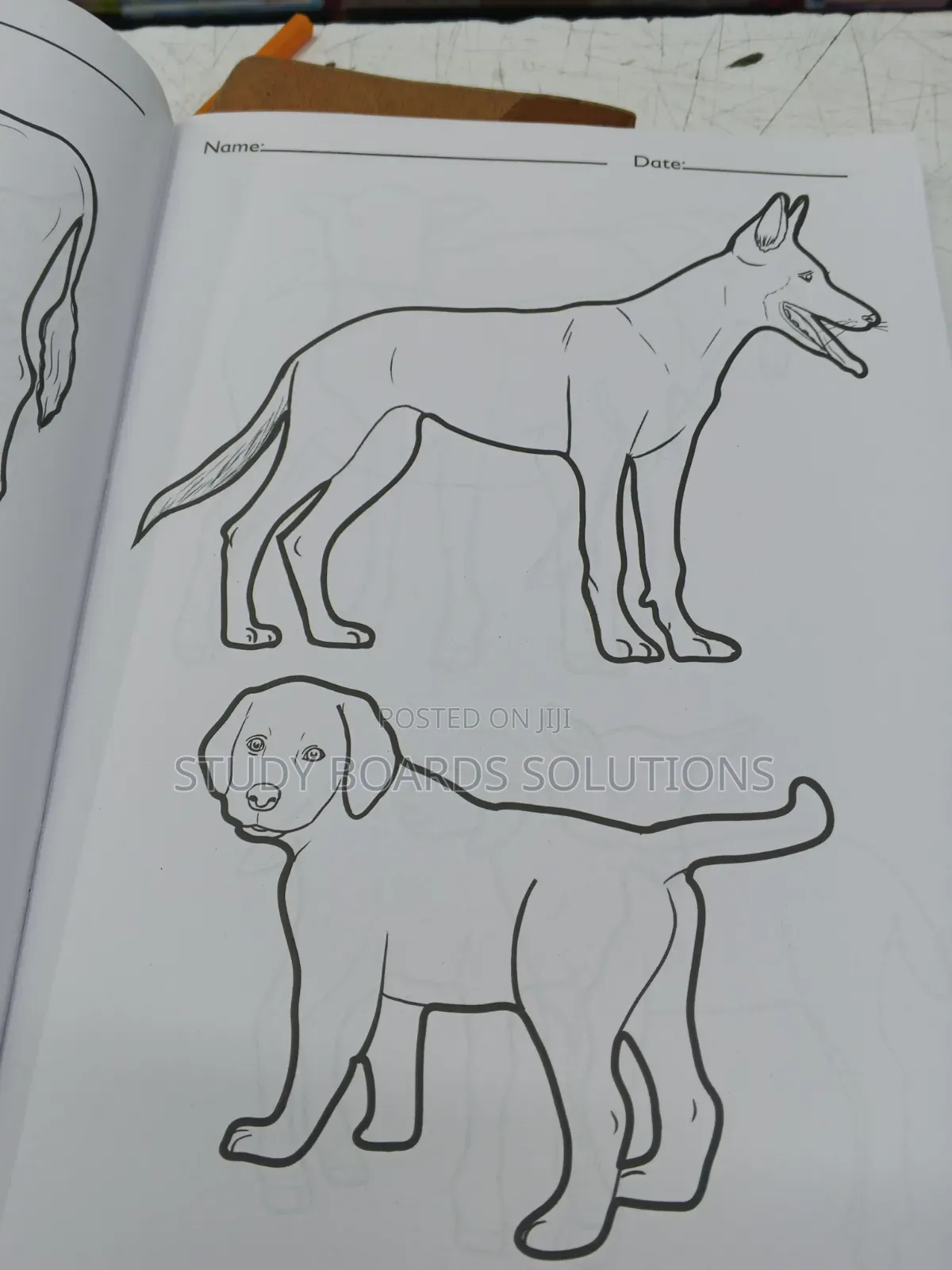 Level 3 Colouring Book