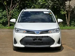 Toyota Corolla Fielder 2019 Pearl