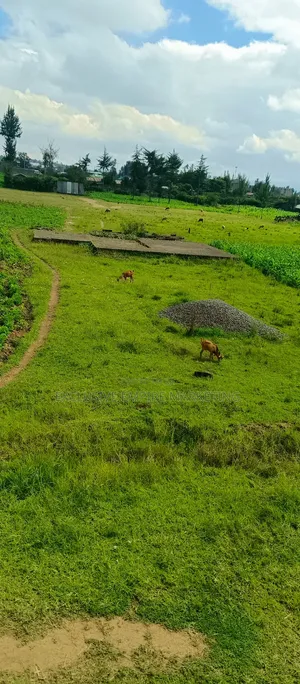 Nakuru East, Pipeline Wanyama,Joddys Prime Land For Sale On Discount!