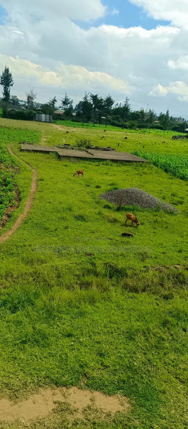 Nakuru East, Pipeline Wanyama,Joddys Prime Land For Sale On Discount!