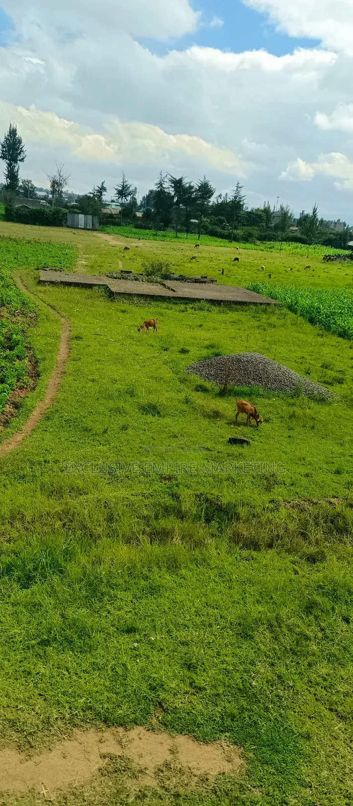 Nakuru East, Pipeline Wanyama,Joddys Prime Land For Sale On Discount!