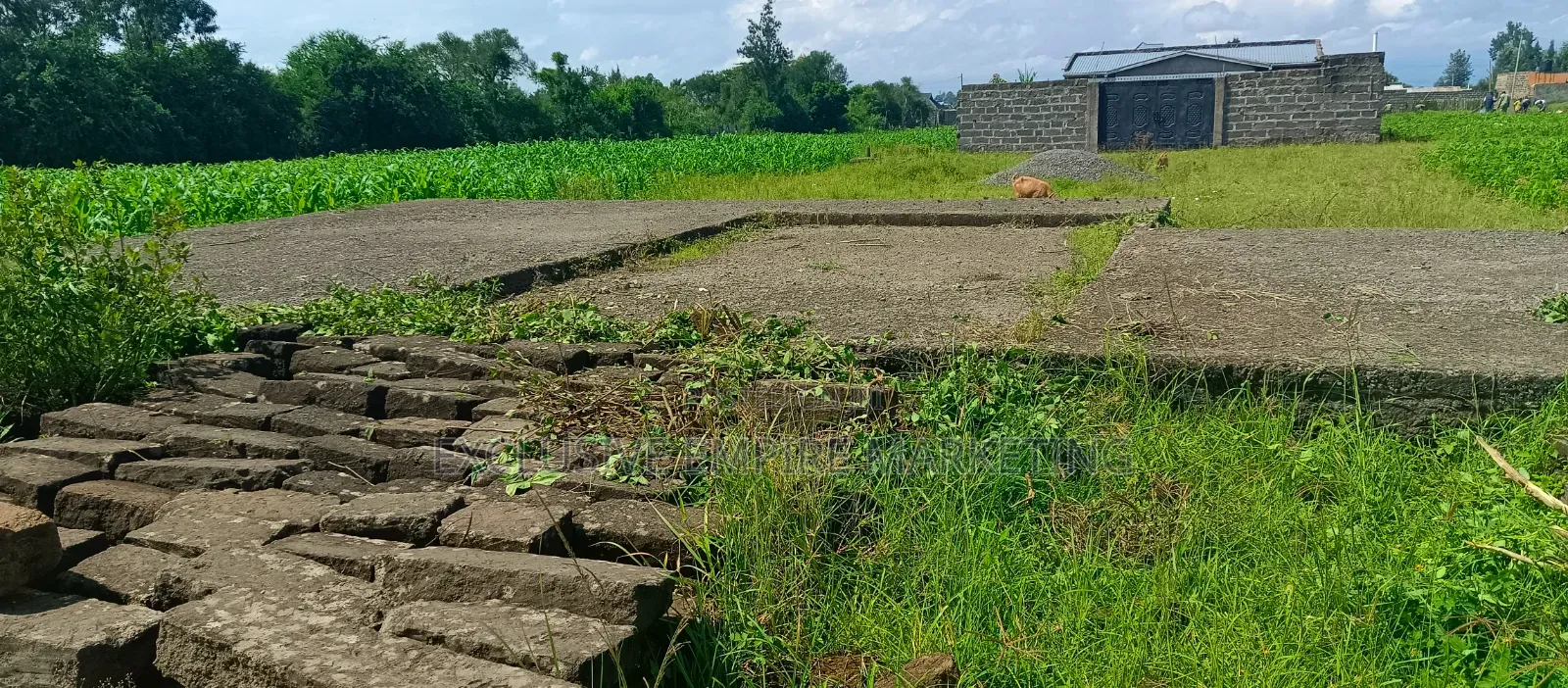 Nakuru East, Pipeline Wanyama,Joddys Prime Land For Sale On Discount!