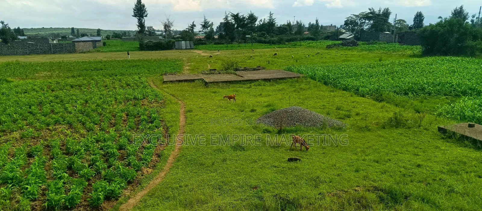 Nakuru East, Pipeline Wanyama,Joddys Prime Land For Sale On Discount!