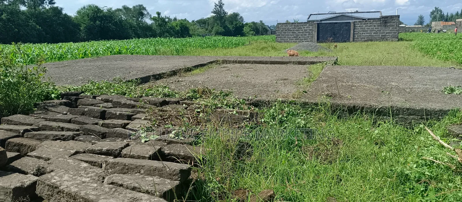 Nakuru East, Pipeline Wanyama,Joddys Prime Land For Sale On Discount!