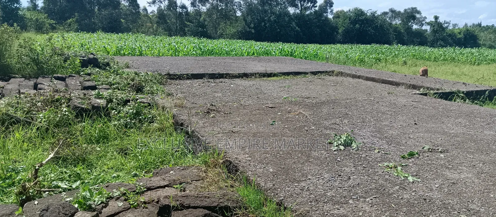 Nakuru East, Pipeline Wanyama,Joddys Prime Land For Sale On Discount!