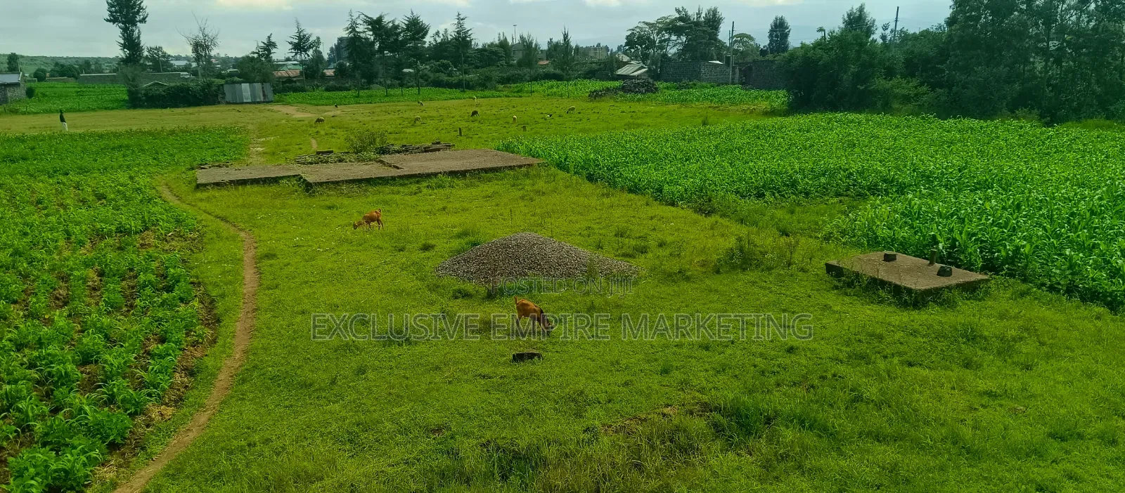 Nakuru East, Pipeline Wanyama,Joddys Prime Land For Sale On Discount!