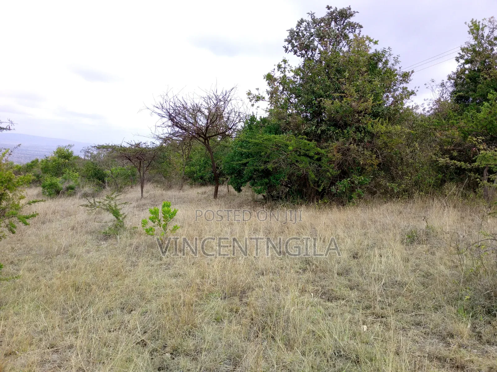 Mua Hills 5 Acres