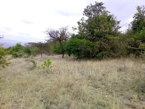 Mua Hills 5 Acres
