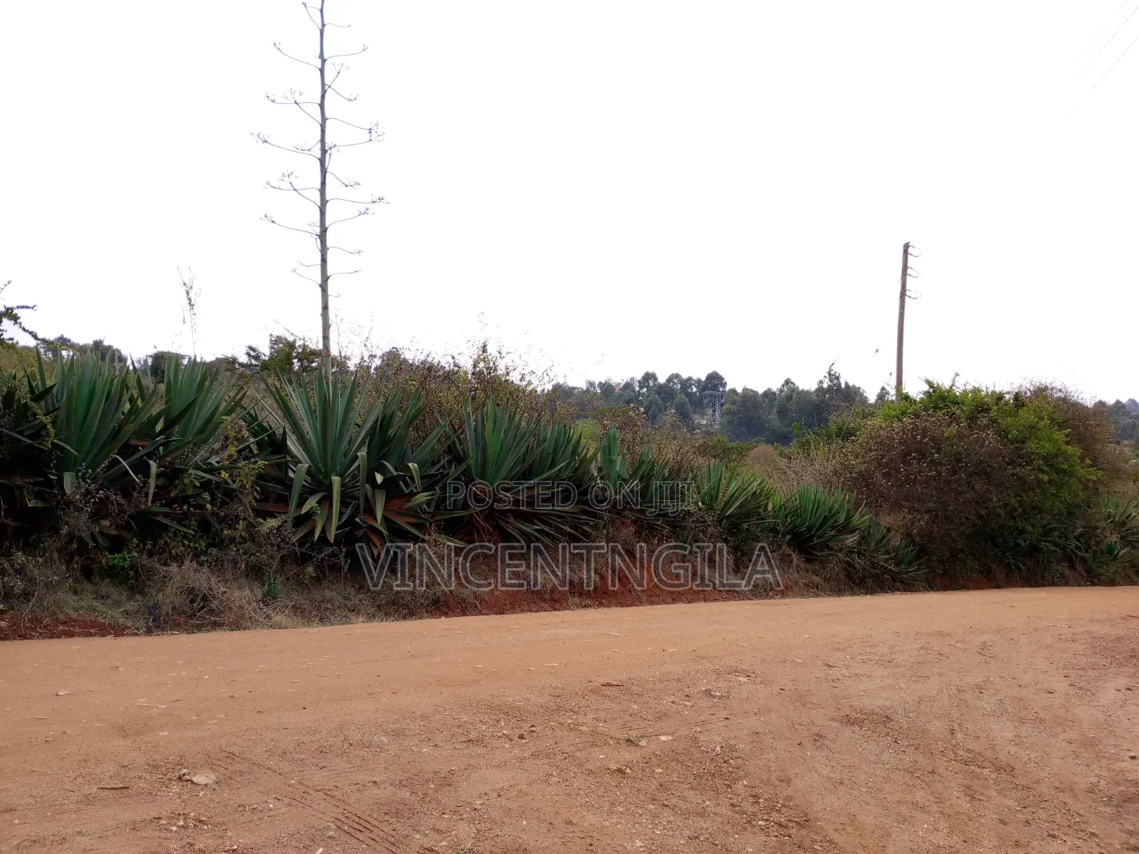 Mua Hills 5 Acres