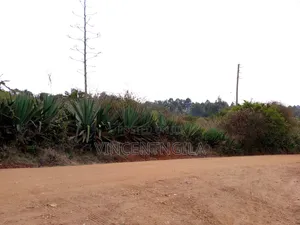 Mua Hills 5 Acres