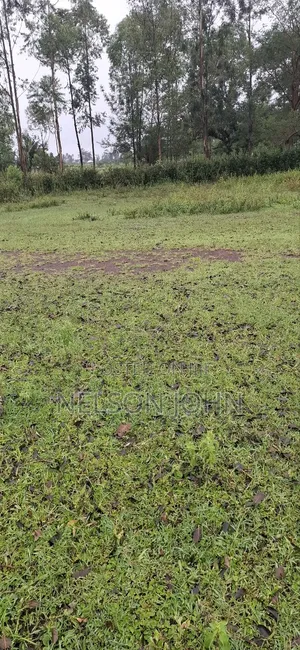 Plot for Sale