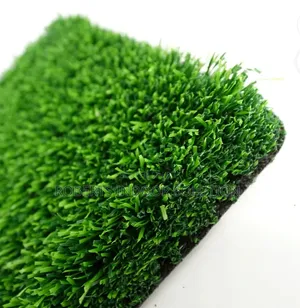 Lush Residential Grass