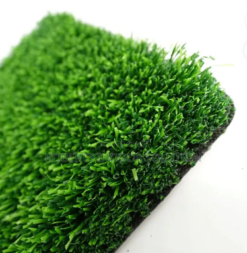 Lush Residential Grass