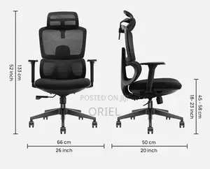 Office Chair : Mesh Orthopedic Executive High-Back Office Chair