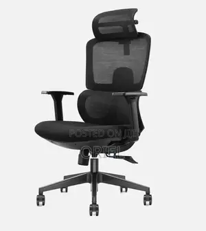 Office Chair : Mesh Orthopedic Executive High-Back Office Chair