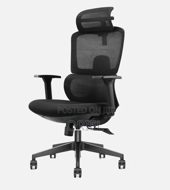 Office Chair : Mesh Orthopedic Executive High-Back Office Chair