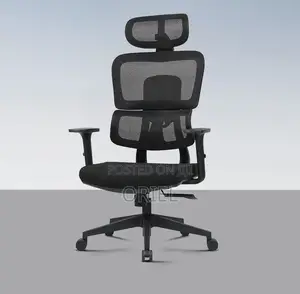 Office Chair : Mesh Orthopedic Executive High-Back Office Chair