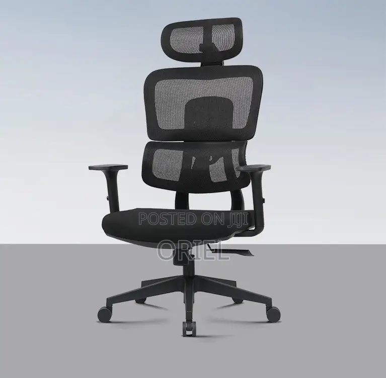 Office Chair : Mesh Orthopedic Executive High-Back Office Chair
