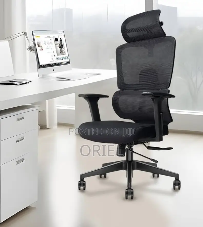 Office Chair : Mesh Orthopedic Executive High-Back Office Chair