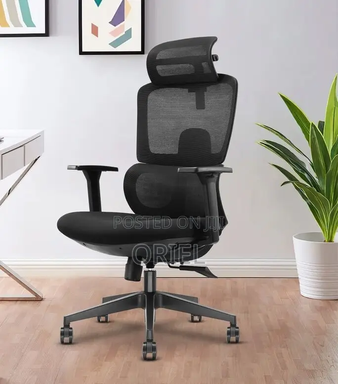 Office Chair : Mesh Orthopedic Executive High-Back Office Chair
