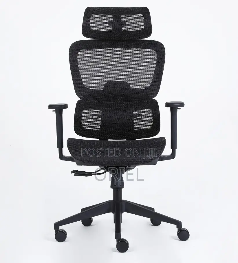 Office Chair : Mesh Orthopedic Executive High-Back Office Chair