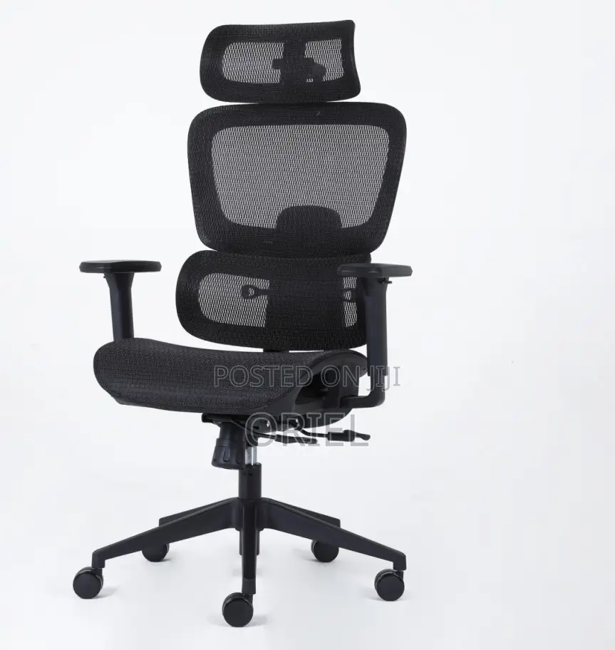 Office Chair : Mesh Orthopedic Executive High-Back Office Chair