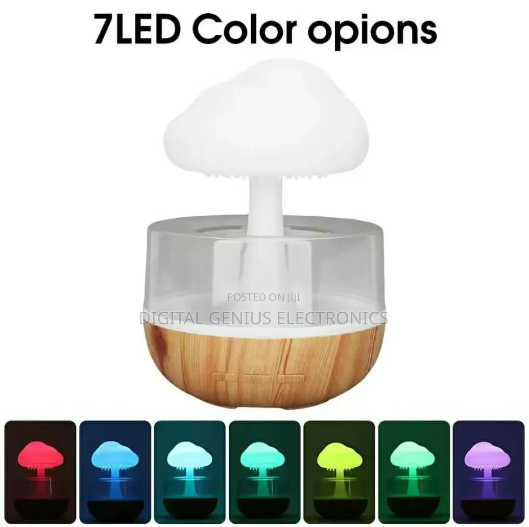 *Rain Cloud Humidifier