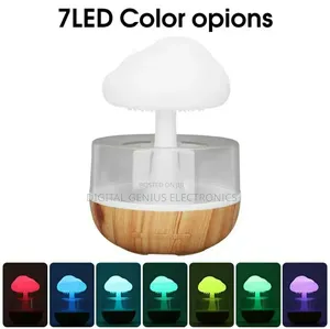 *Rain Cloud Humidifier