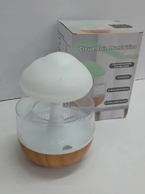 *Rain Cloud Humidifier