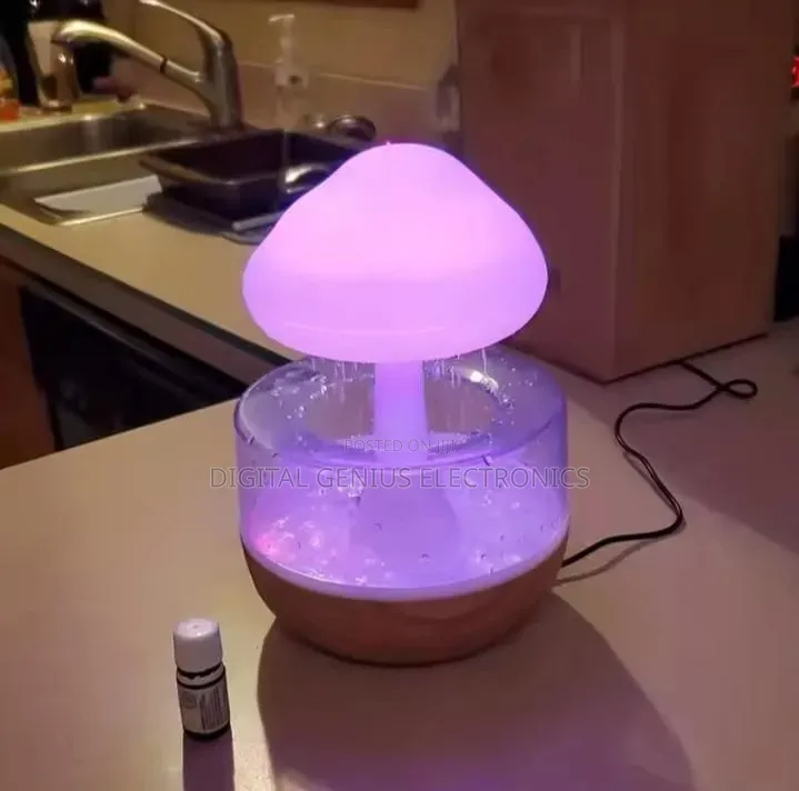 *Rain Cloud Humidifier