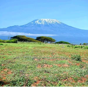 Land for Sale in Loitoktok With Mt Kilimanjaro Views.