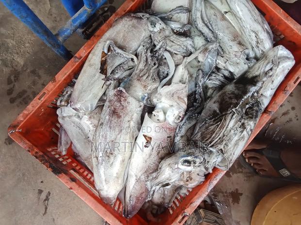 I Am Supplies of Seafood