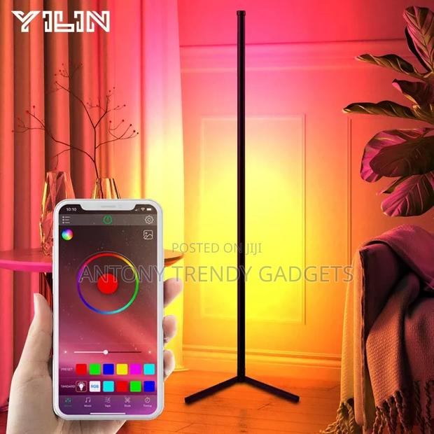 Corner Floor Lamp - thumbnail 2