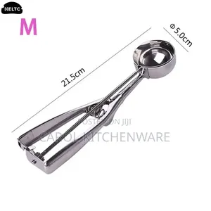 Stainless Steel Ice Cream Scoop