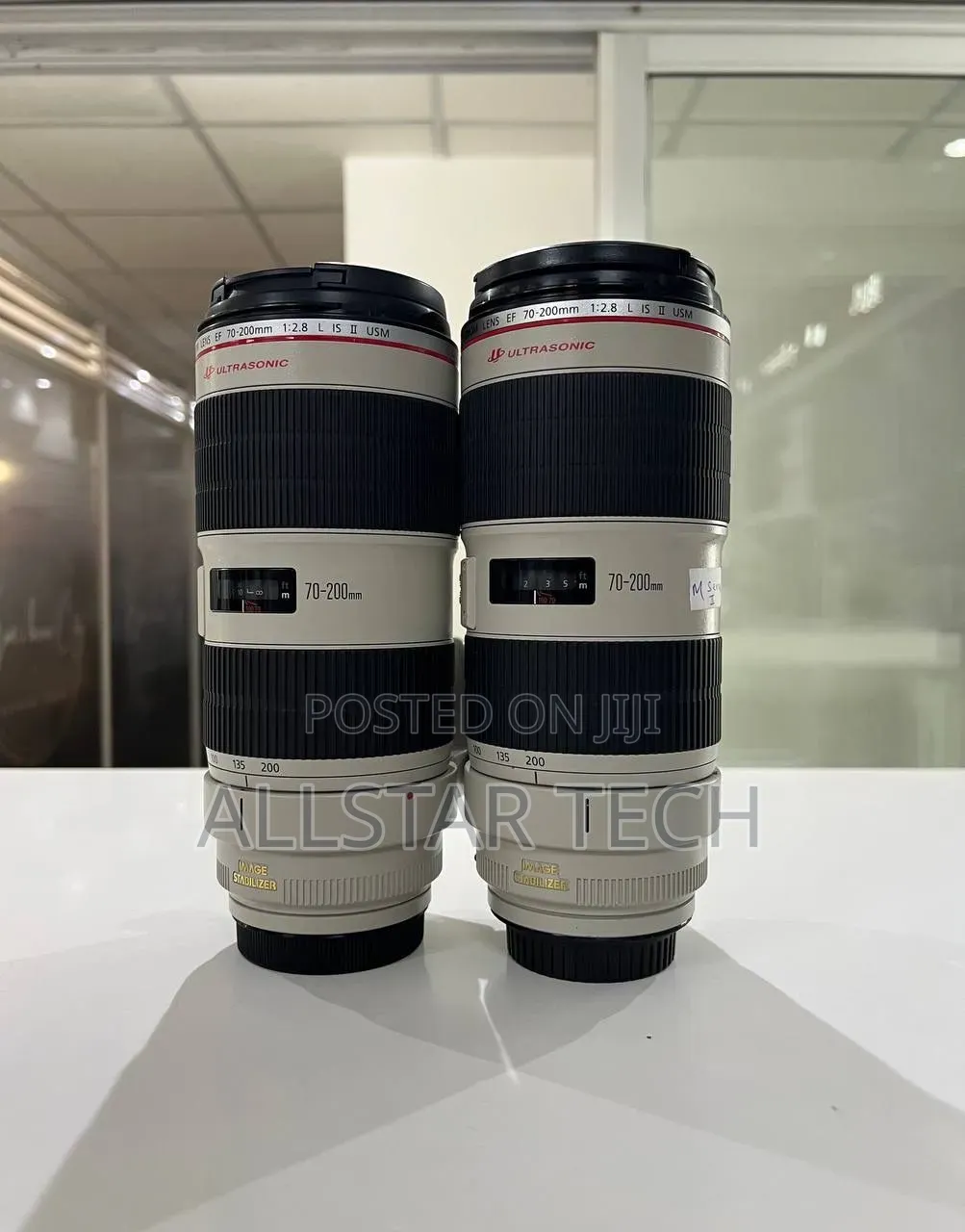 Canon 70-200mm Zebra Lens